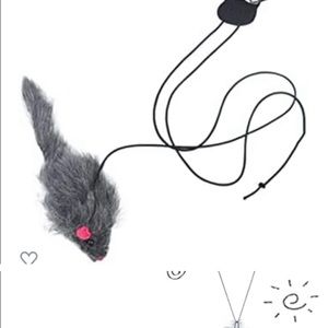 Mouse on bungy string